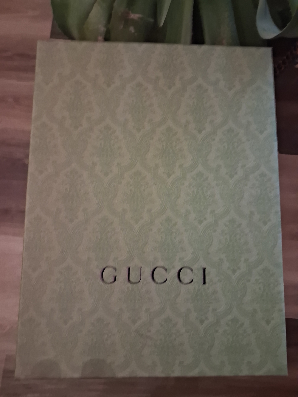 Gucci Green Patterned Gift Box